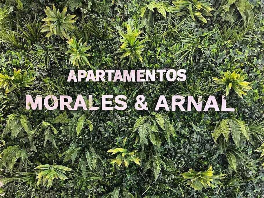 XX D Apartamentos Morales & Arnal รอนดา ภายนอก รูปภาพ